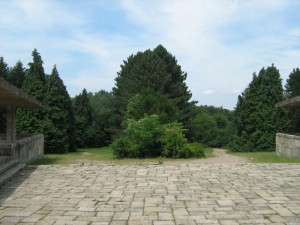 IMG_3529