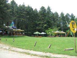 IMG_3540