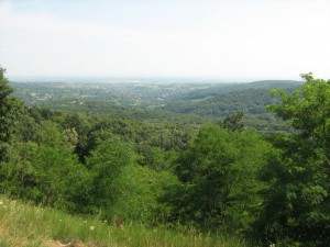 IMG_3554