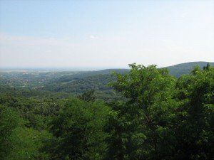 IMG_3555