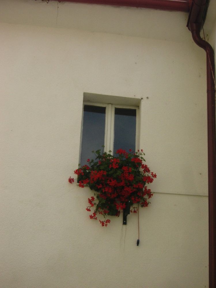 18.06.2011