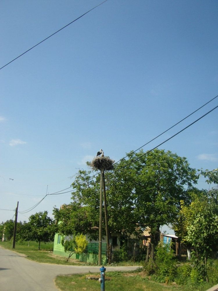 18.06.2011