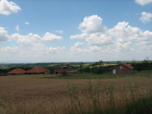 IMG_3596