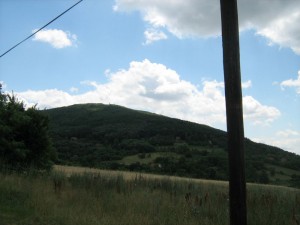 IMG_3597