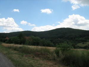 IMG_3599