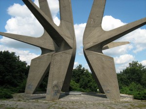 IMG_3653