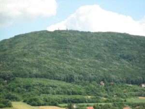 IMG_3660