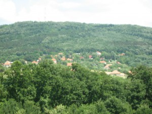 IMG_3661