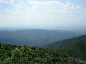 DSCN0873