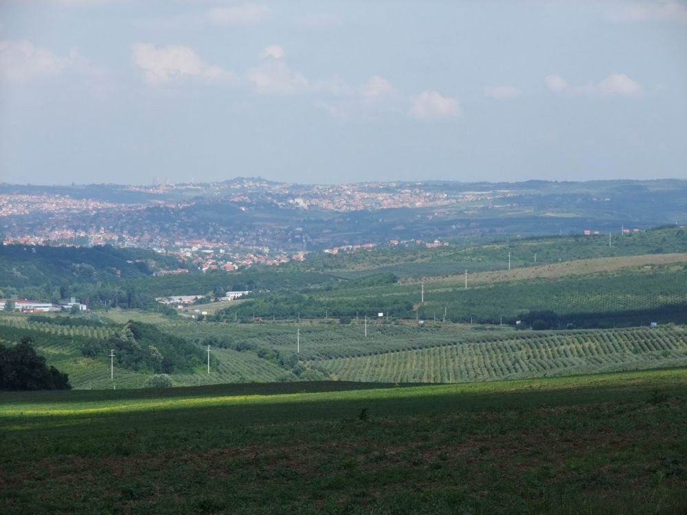Av_djir_06