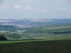Av_djir_06