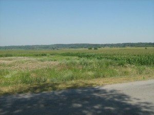 IMG_3869