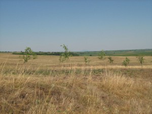 IMG_3872