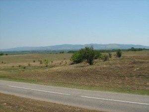 IMG_3874