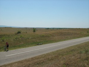 IMG_3875