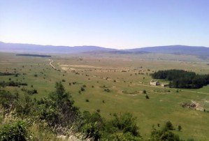 Glamočko polje