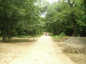Tarzani 16.07