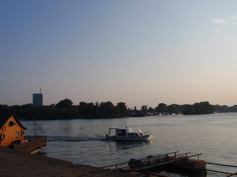 P8060066