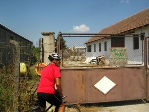 Kovacica 20.08