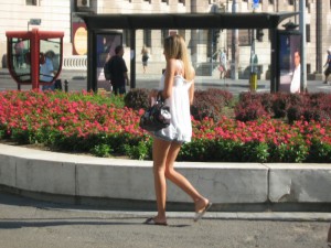 IMG_4084