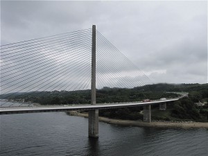 IMG_0559