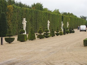 IMG_0720