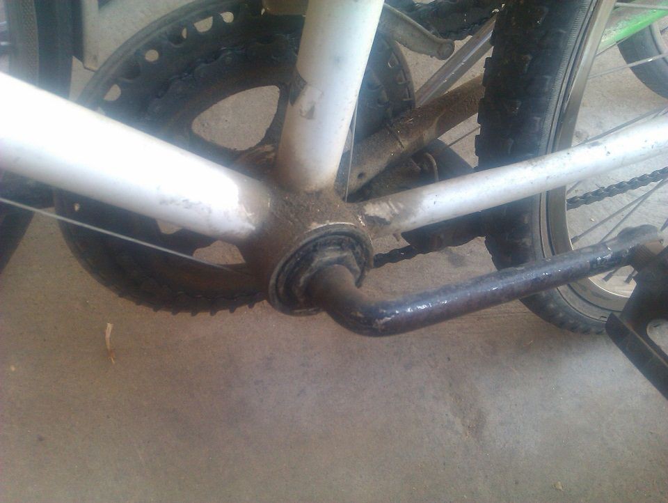 IMAG0064