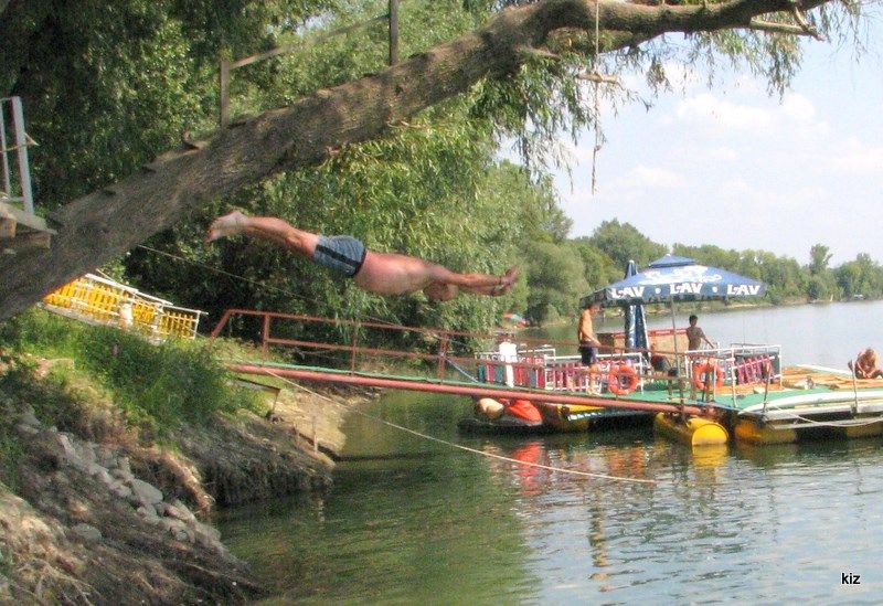 tarzan 03 09 2011 (35)