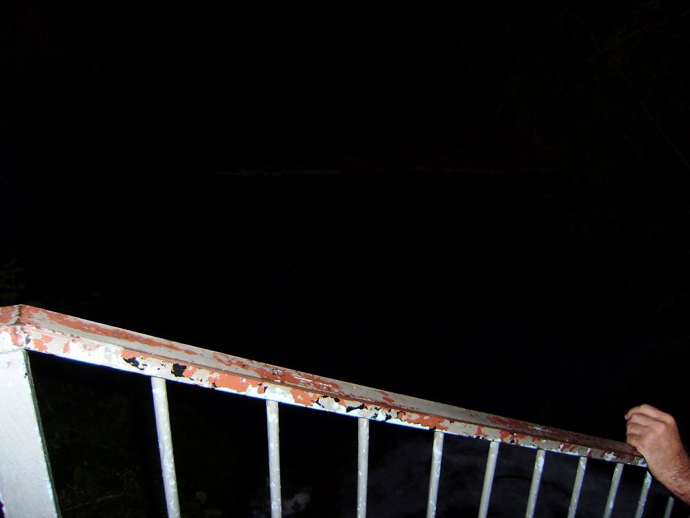 P9020849