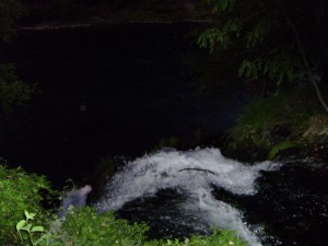 P9020850