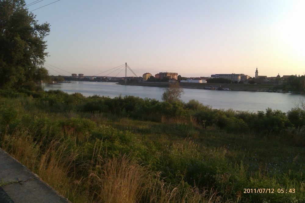 IMAG0052