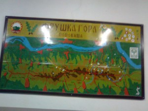 Slika0978