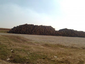Slika0983