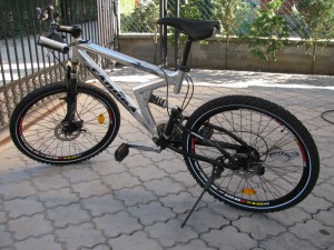 Slika 1