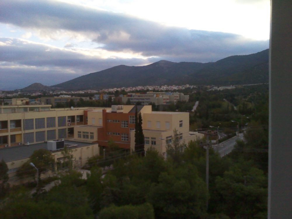 IMG_20111030_073420