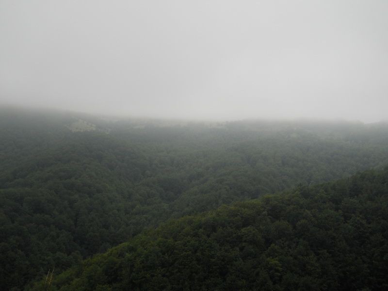 DSCN5646_resize