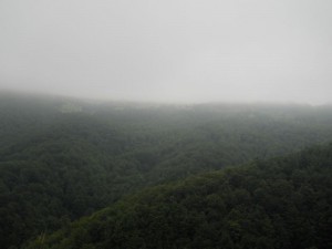 DSCN5646_resize