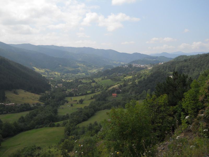 DSCN5695_resize