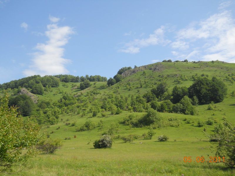 Opet Radan
