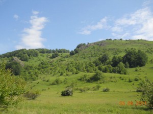 Opet Radan