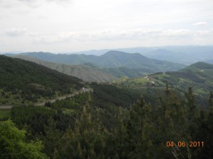 Osvrt