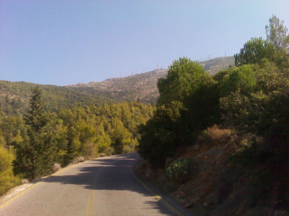 IMG_20111105_122000