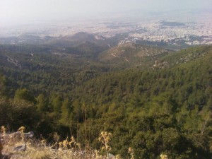 IMG_20111105_125712