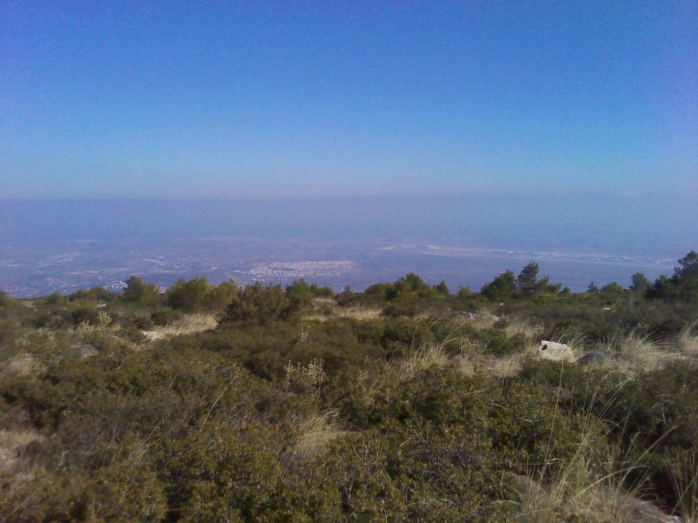 IMG_20111105_132335