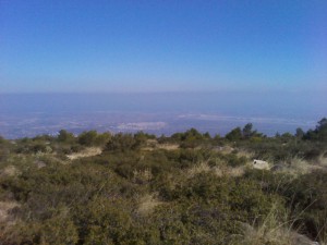IMG_20111105_132335