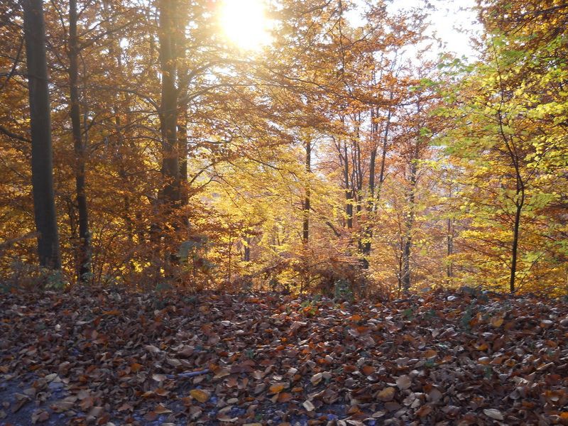Boje se razlivaju na suncu