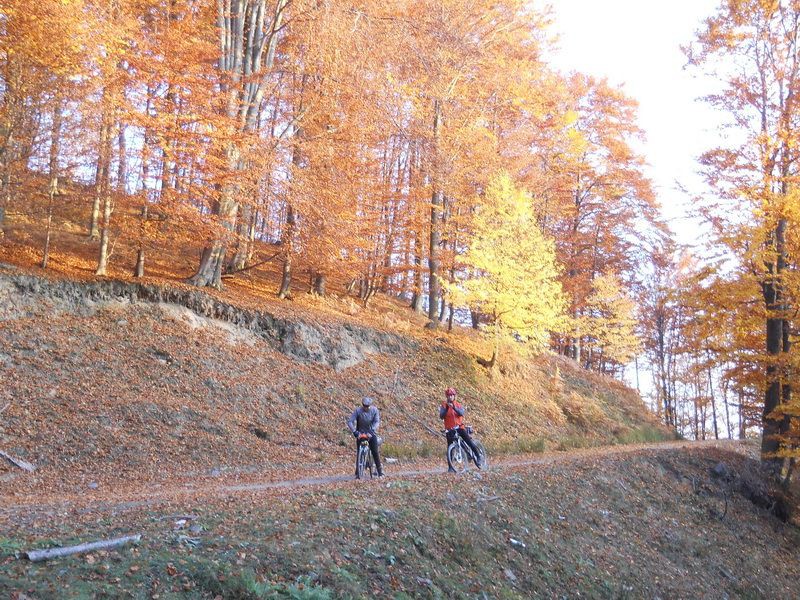 Bolje da stavimo kacige