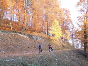 Bolje da stavimo kacige