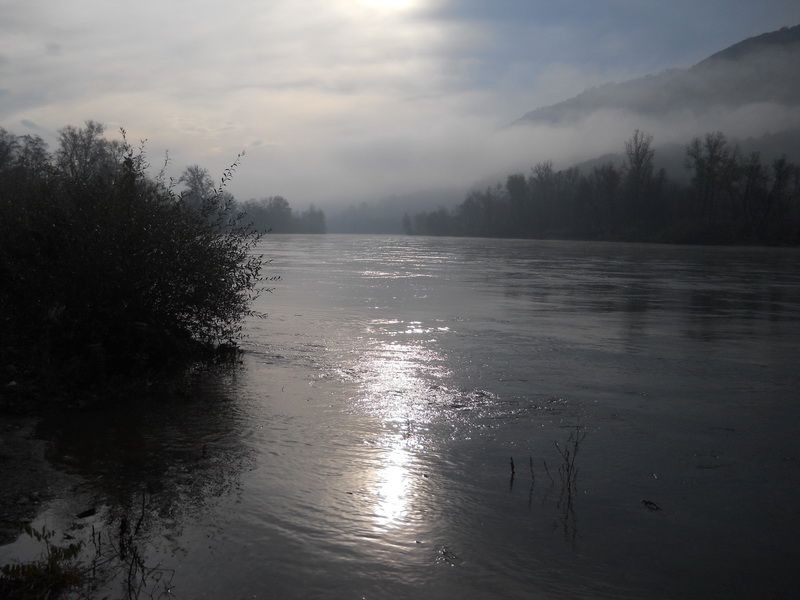 Drina na jutarnjem suncu