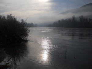 Drina na jutarnjem suncu